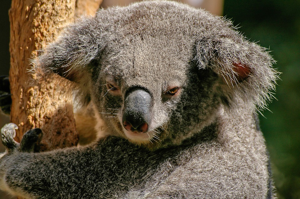 Australie : Ce qu’il faut visiter (à part Sydney)