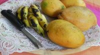 mangue